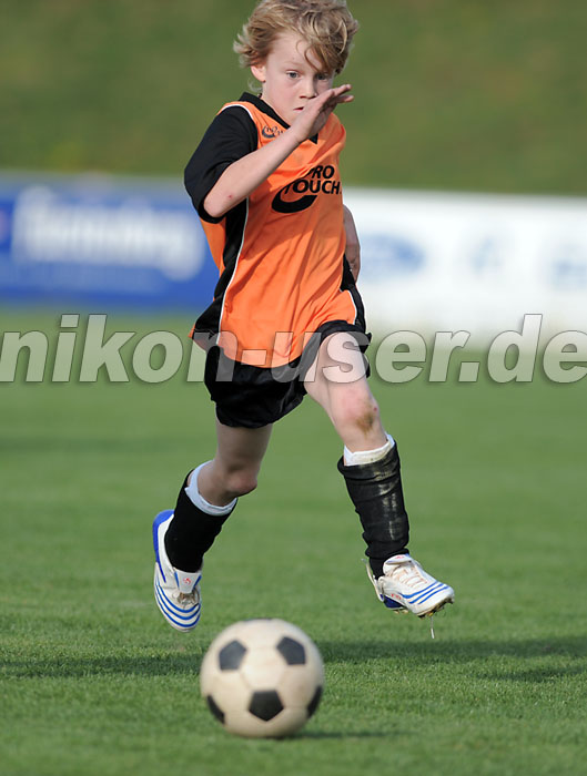 DSC_8371 Kopie