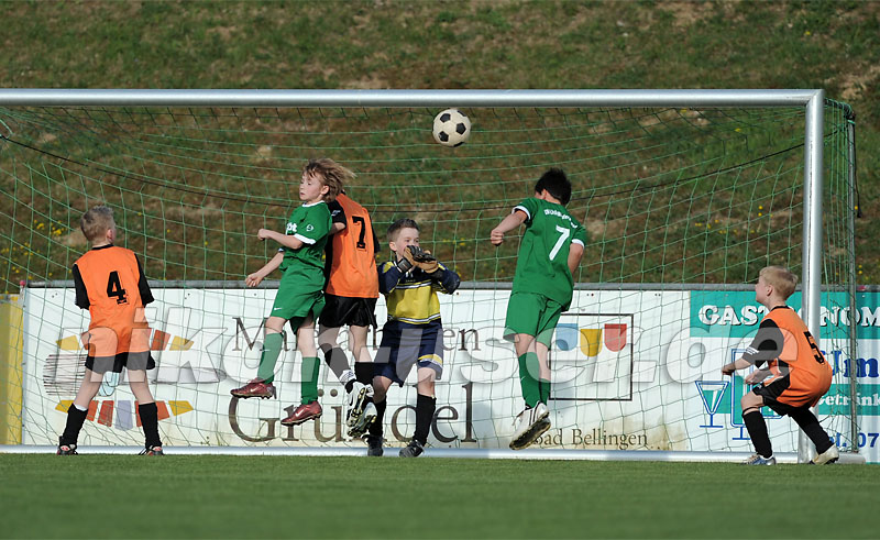 DSC_8373 Kopie