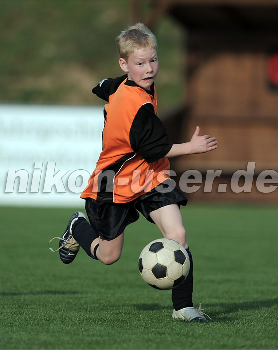 DSC_8398 Kopie