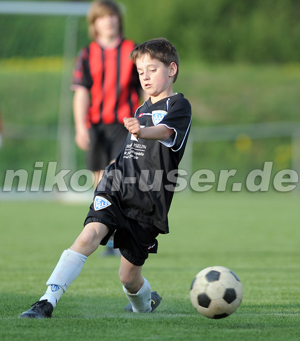 DSC_8446 Kopie