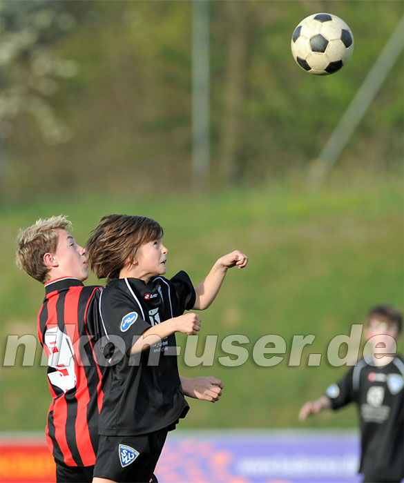 DSC_8458 Kopie