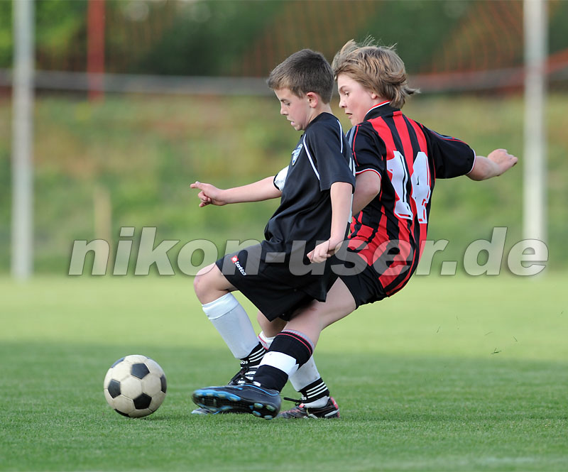 DSC_8471 Kopie