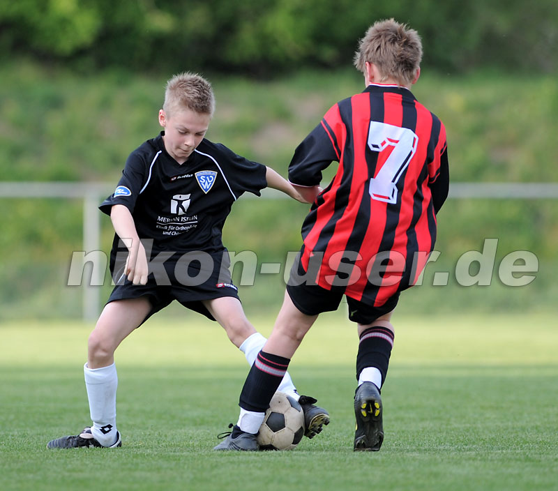 DSC_8481 Kopie
