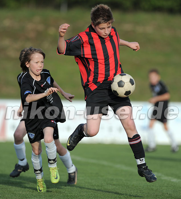 DSC_8503 Kopie
