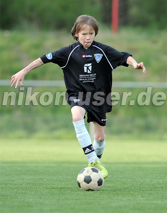 DSC_8511 Kopie