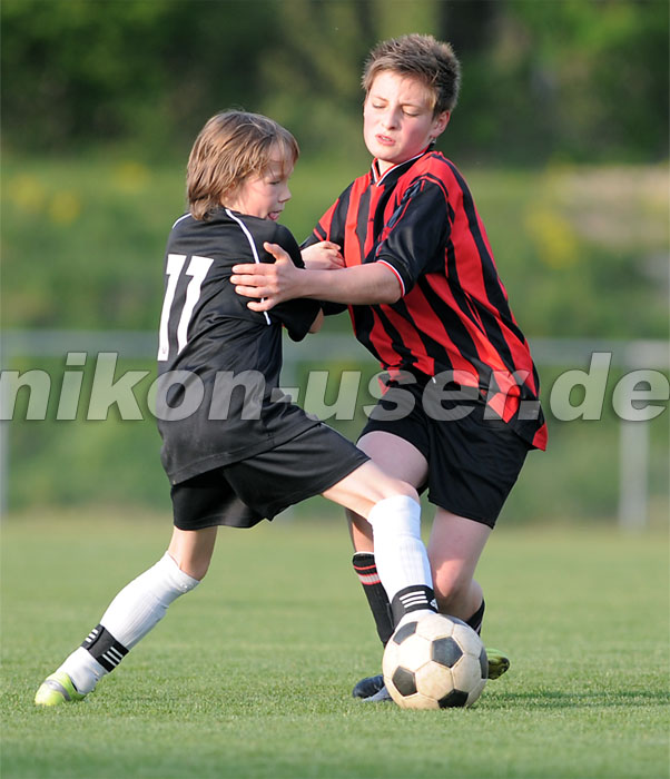 DSC_8530 Kopie