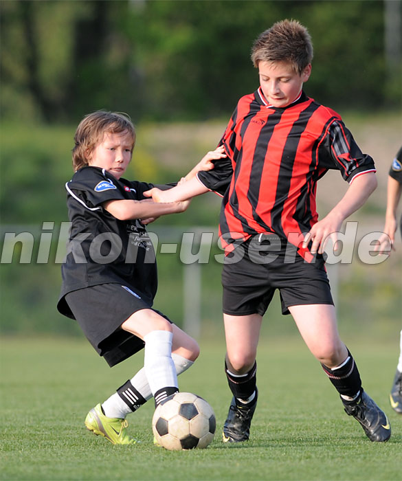 DSC_8533 Kopie