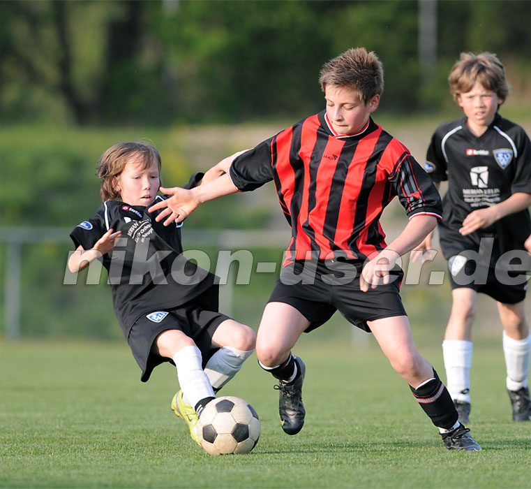 DSC_8534 Kopie