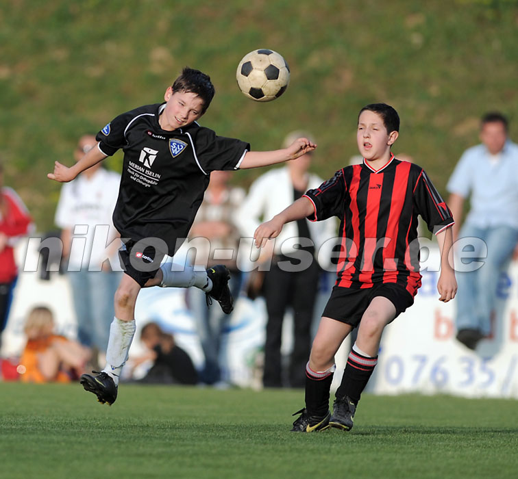 DSC_8543 Kopie
