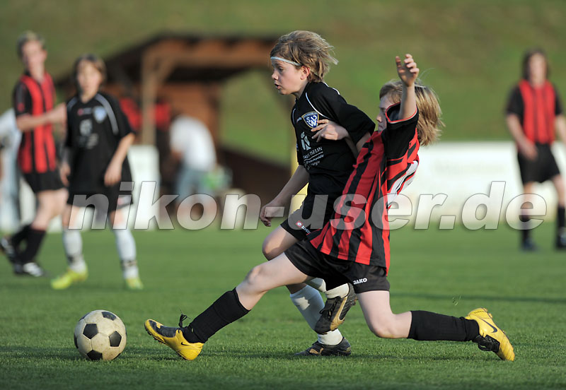 DSC_8552 Kopie