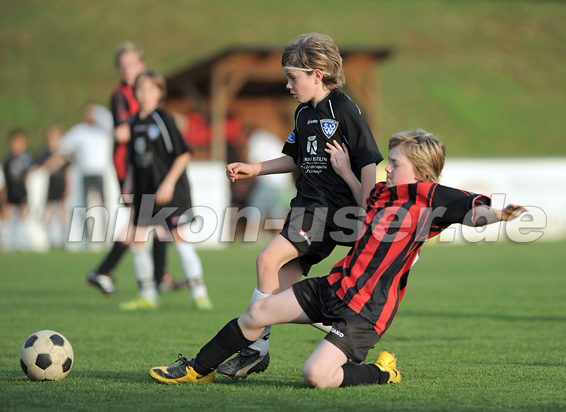 DSC_8553 Kopie