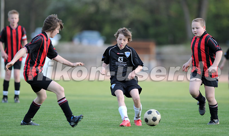 DSC_8586 Kopie