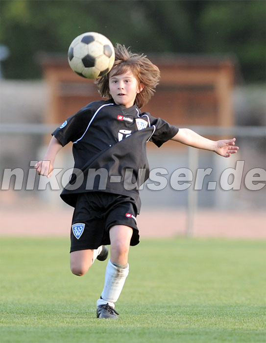 DSC_8606 Kopie