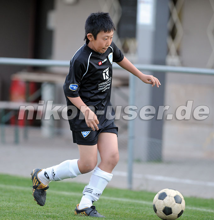 DSC_8609 Kopie