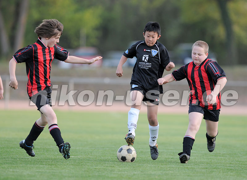 DSC_8612 Kopie