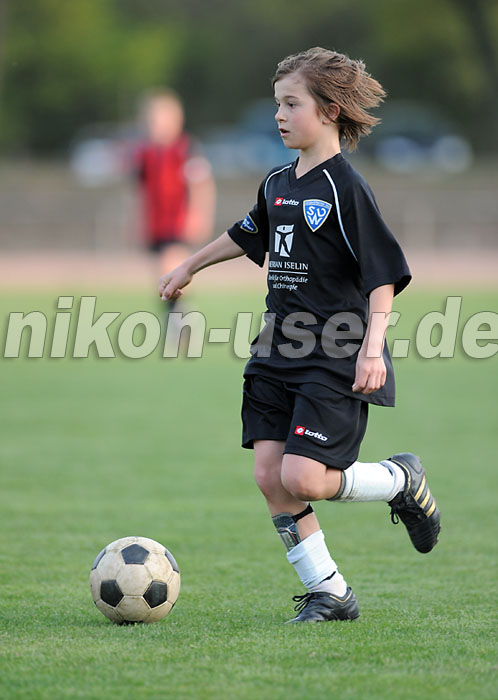 DSC_8624 Kopie