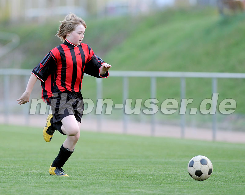 DSC_8653 Kopie
