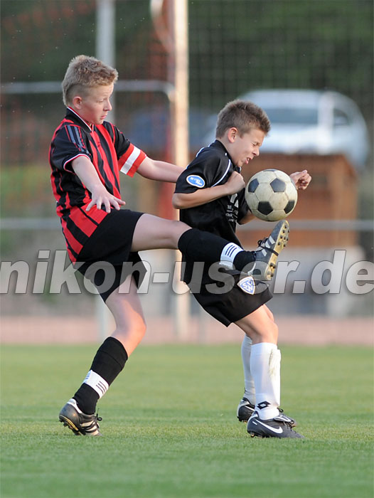 DSC_8656 Kopie