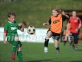 DSC_8386 Kopie