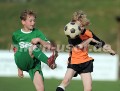DSC_8388 Kopie