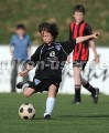 DSC_8434 Kopie