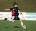 DSC_8454 Kopie