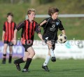 DSC_8462 Kopie