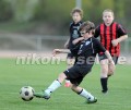 DSC_8600 Kopie