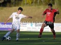 DSC_2157 Kopie
