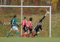 DSC_7302 Kopie