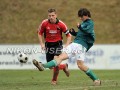 DSC_7318 Kopie