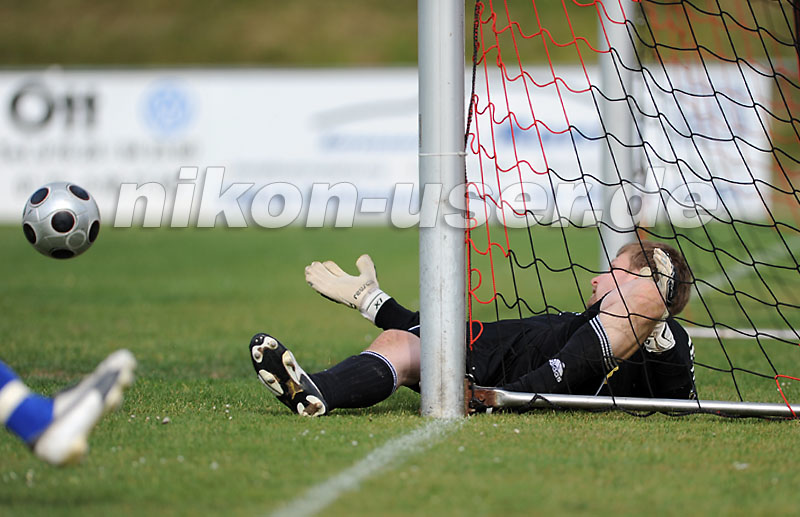 DSC_6331 Kopie