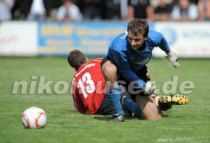 DSC_8637 Kopie