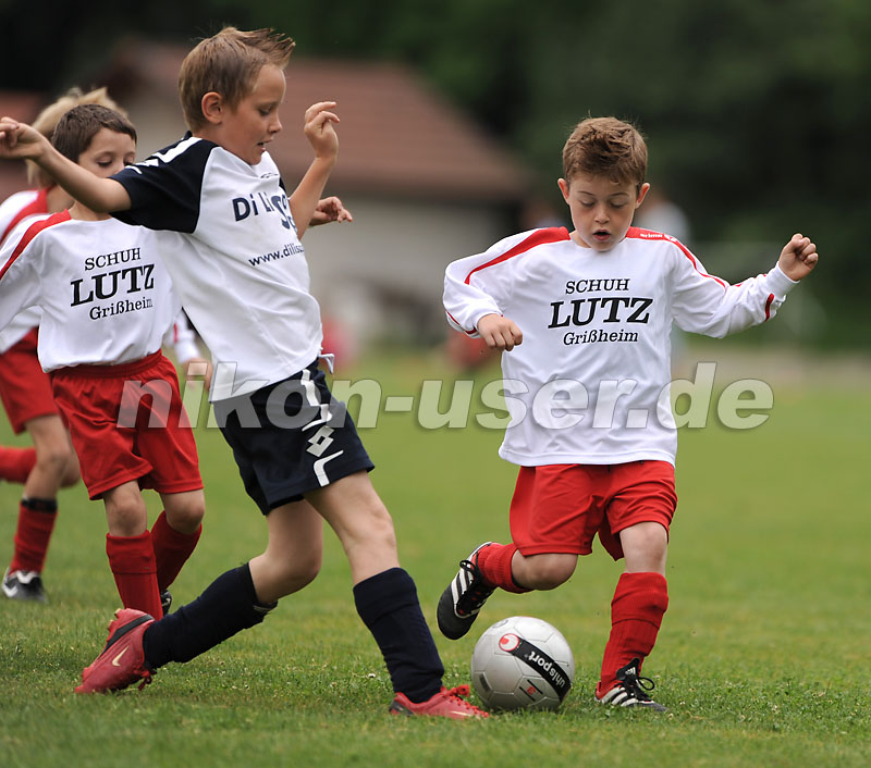 DSC_8991 Kopie