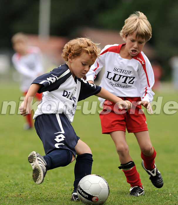 DSC_9006 Kopie