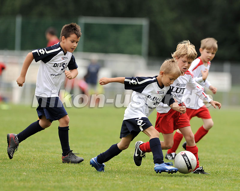 DSC_9013 Kopie