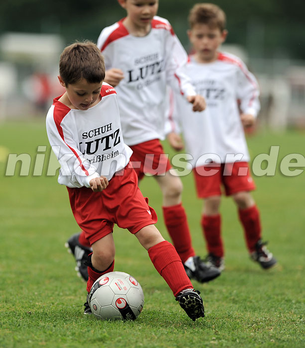 DSC_9020 Kopie