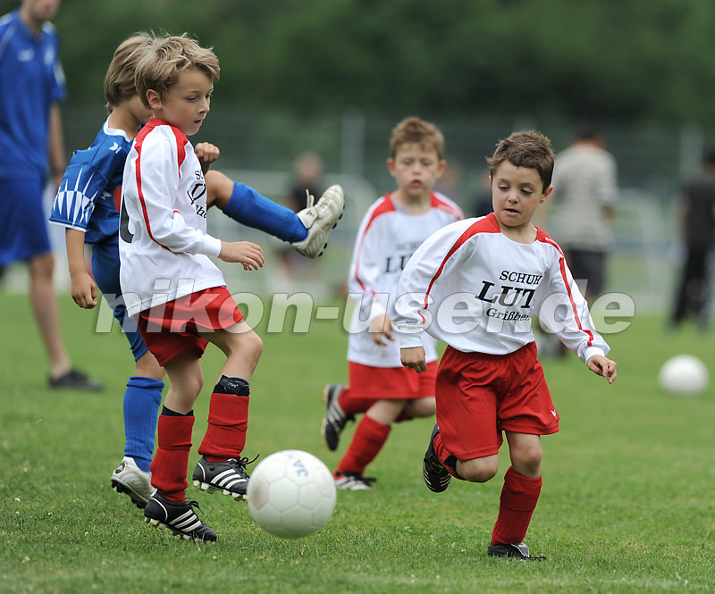 DSC_9033 Kopie
