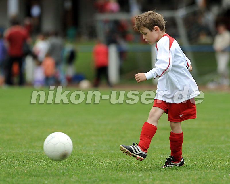 DSC_9036 Kopie