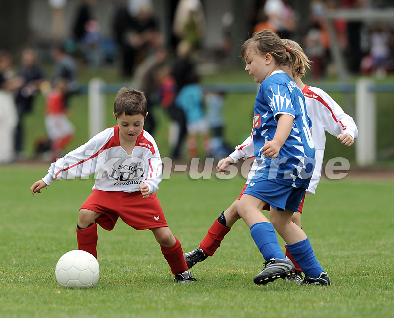 DSC_9048 Kopie