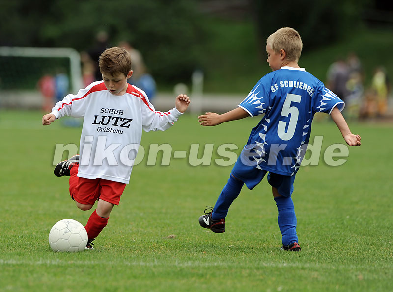 DSC_9049 Kopie