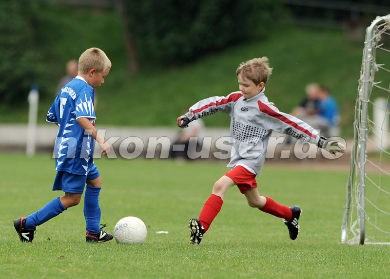 DSC_9073 Kopie