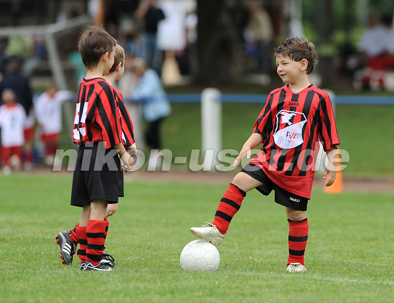 DSC_9081 Kopie