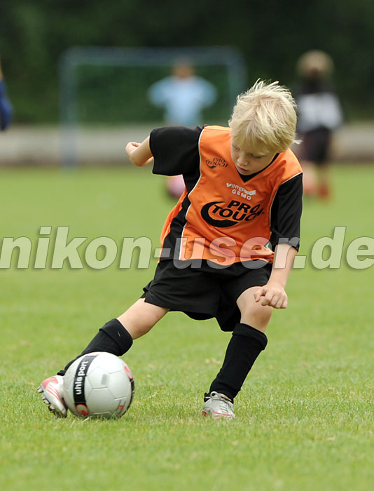 DSC_9084 Kopie