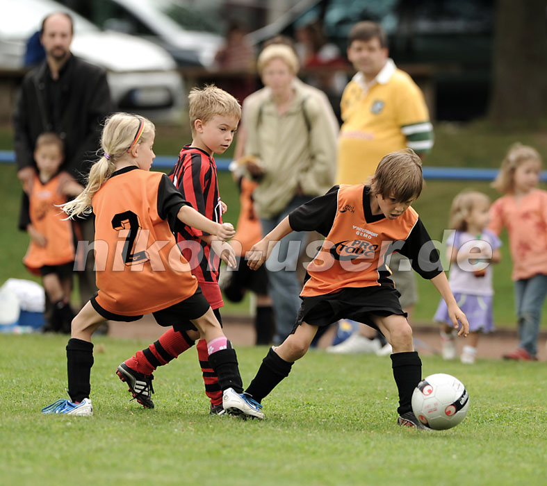 DSC_9093 Kopie