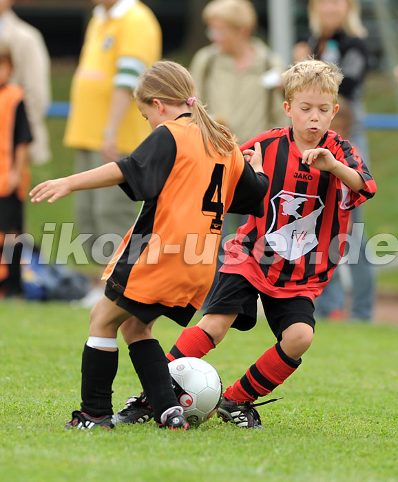 DSC_9100 Kopie