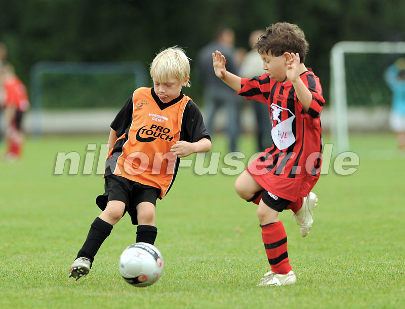 DSC_9102 Kopie