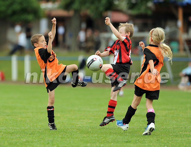 DSC_9103 Kopie