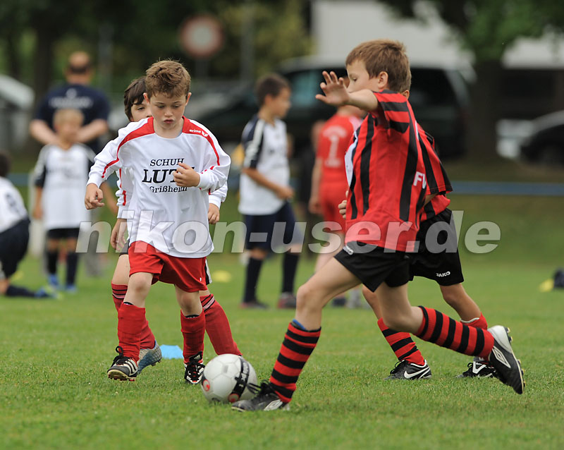 DSC_9113 Kopie
