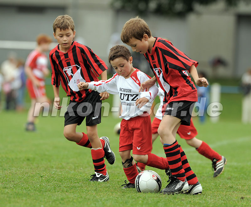 DSC_9119 Kopie
